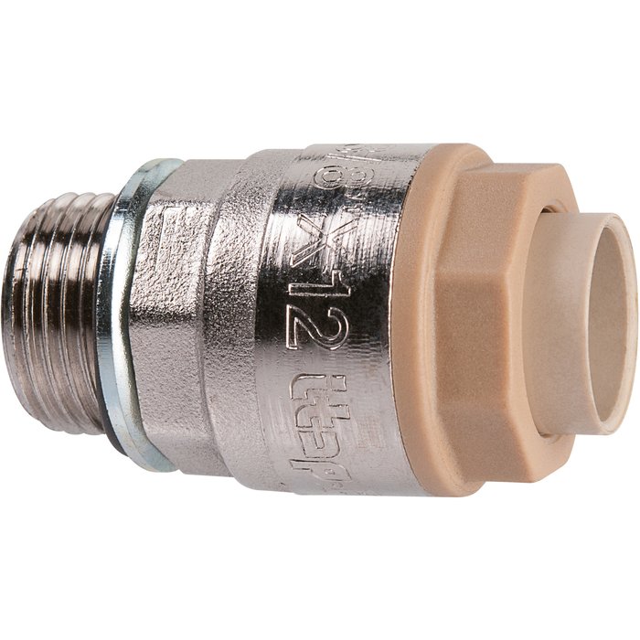 Rac. Rapide Male Chr 1/2X12